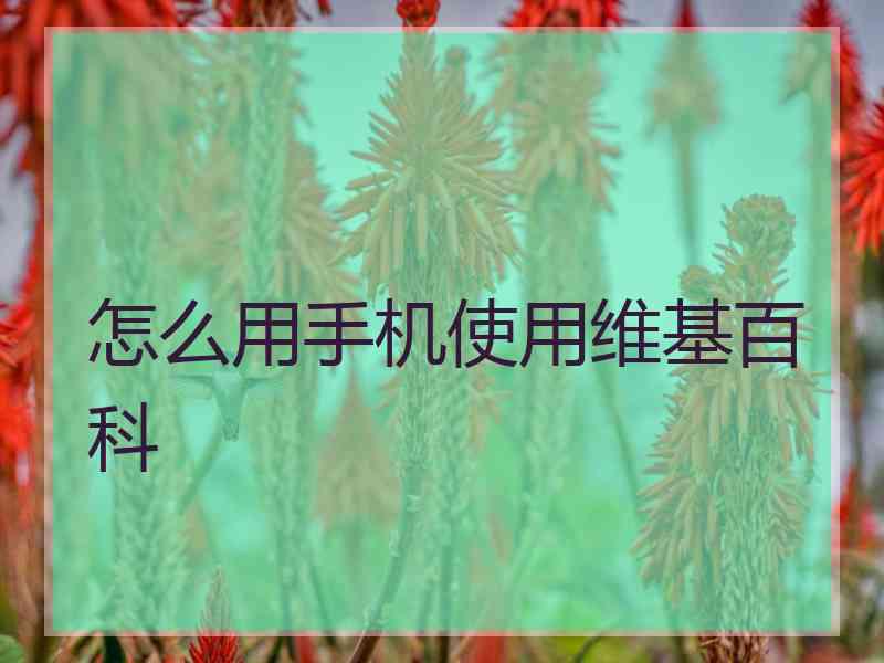 怎么用手机使用维基百科