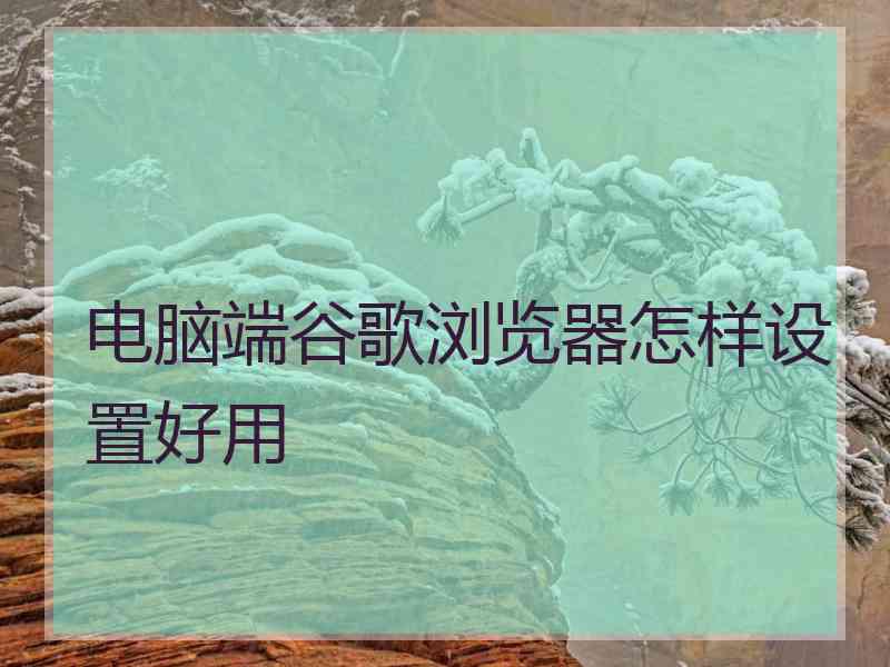 电脑端谷歌浏览器怎样设置好用