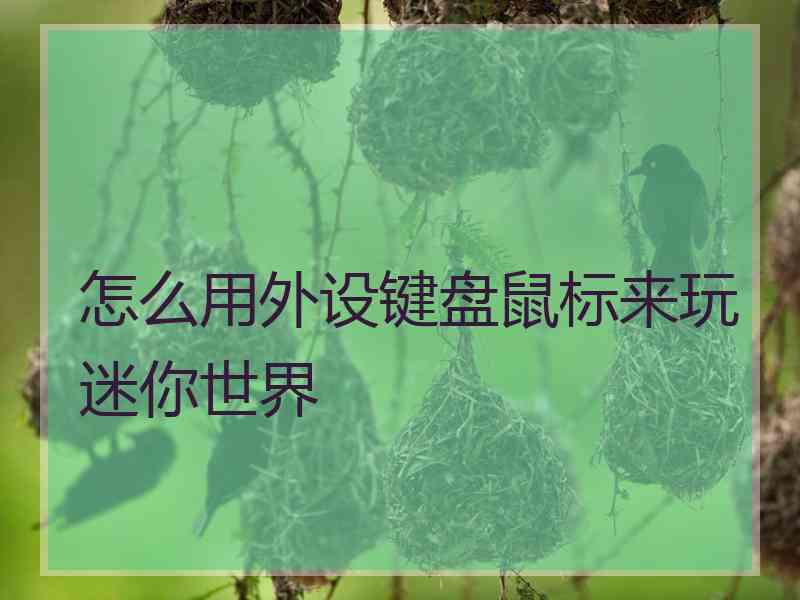 怎么用外设键盘鼠标来玩迷你世界