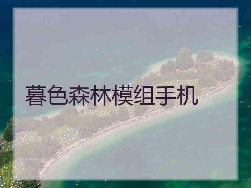 暮色森林模组手机
