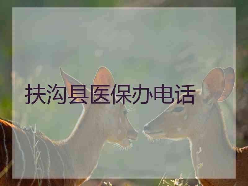扶沟县医保办电话