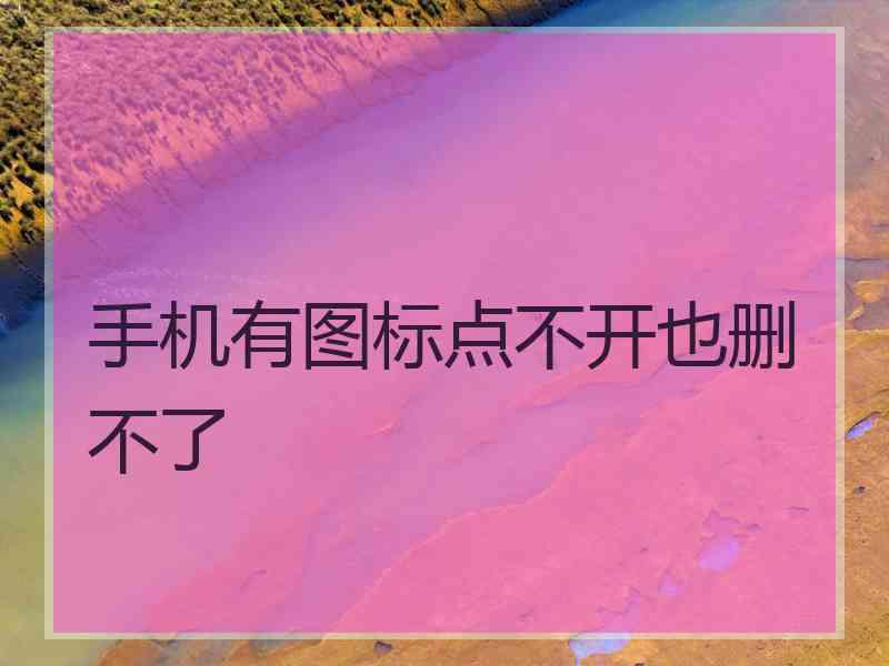 手机有图标点不开也删不了