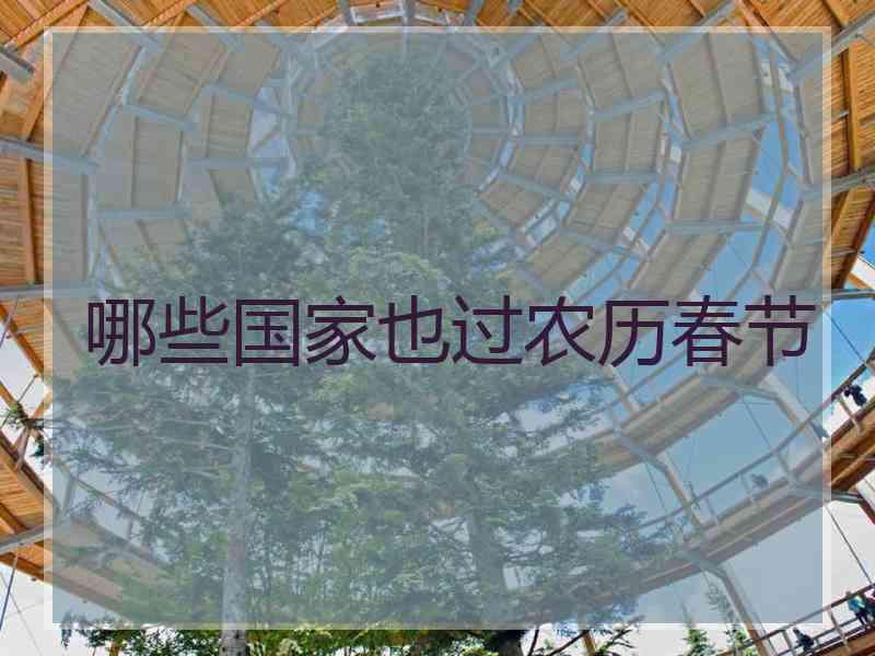 哪些国家也过农历春节