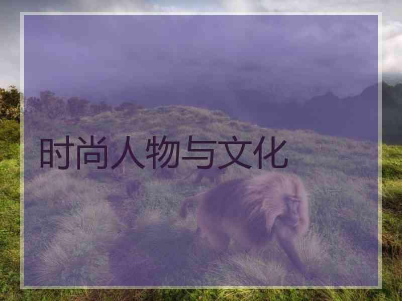 时尚人物与文化