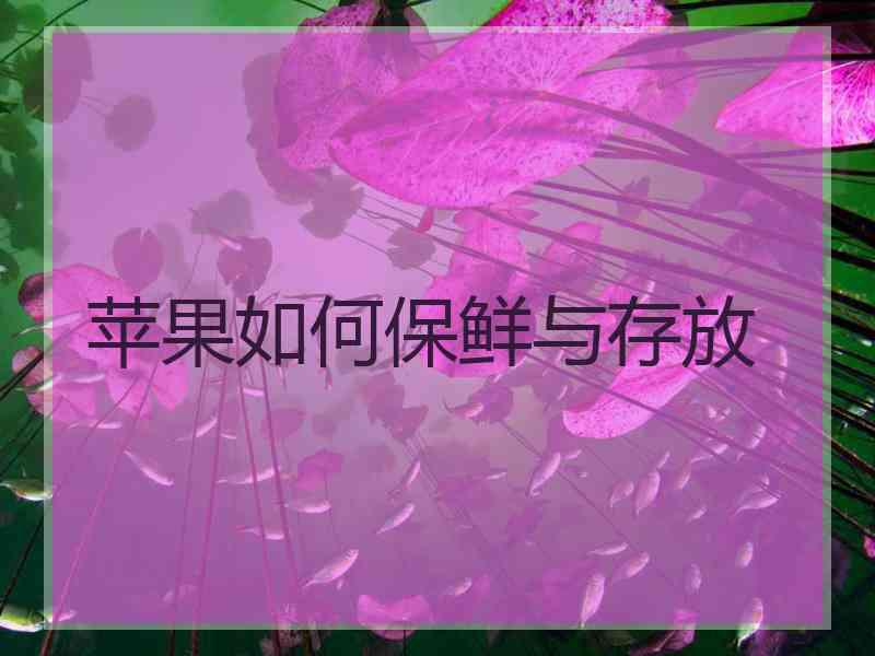 苹果如何保鲜与存放