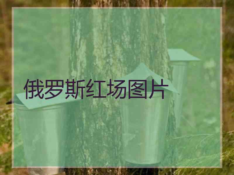 俄罗斯红场图片