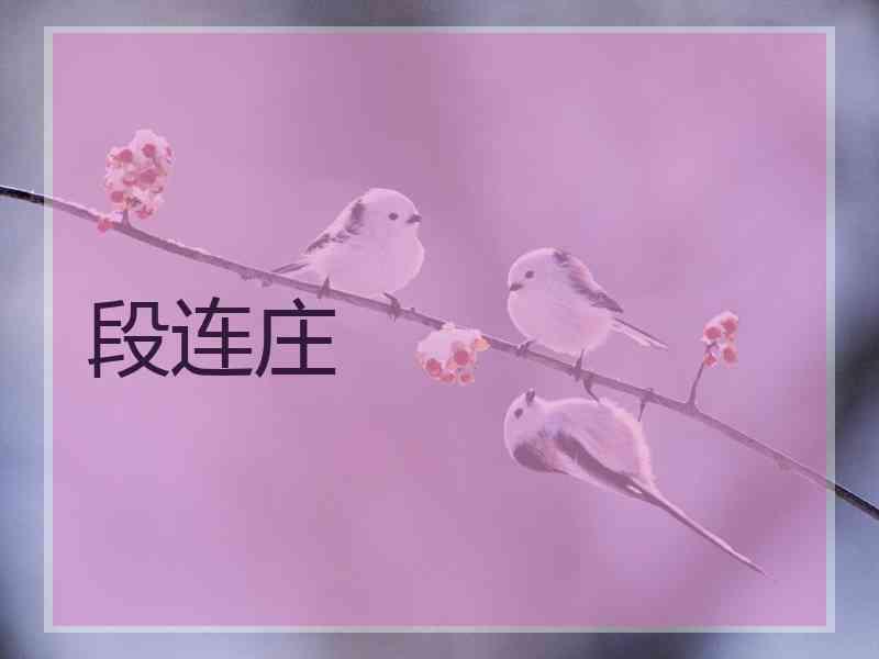 段连庄