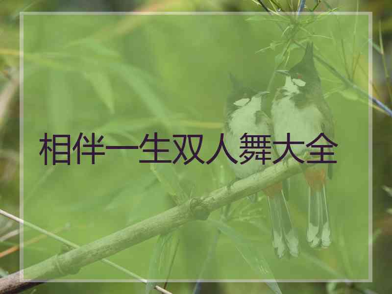 相伴一生双人舞大全