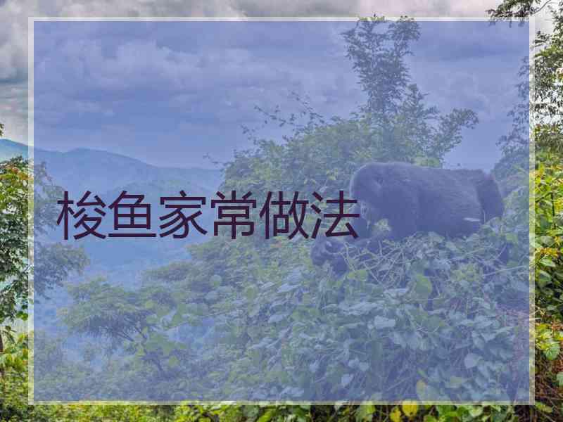 梭鱼家常做法