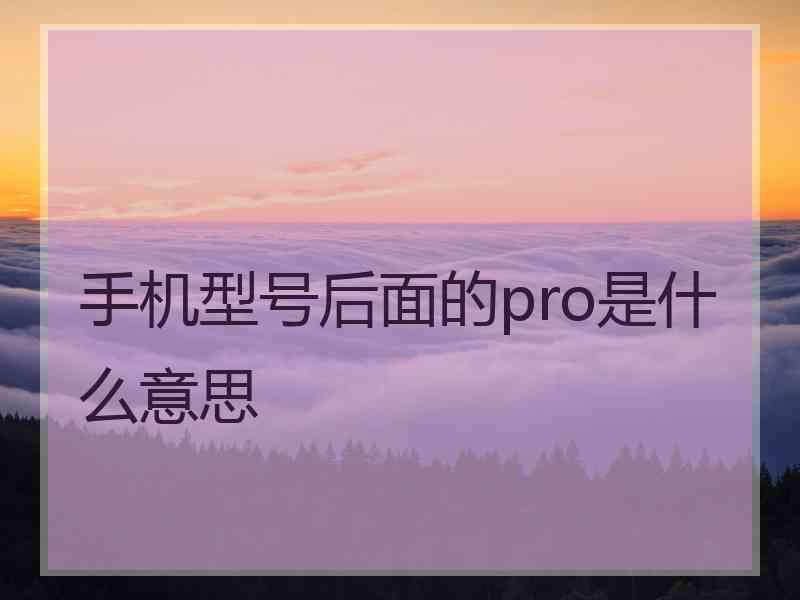 手机型号后面的pro是什么意思