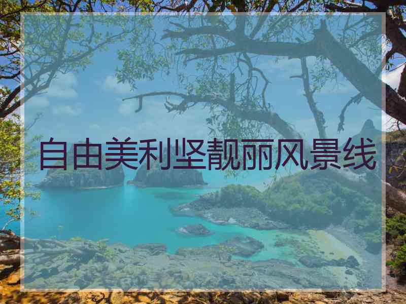 自由美利坚靓丽风景线