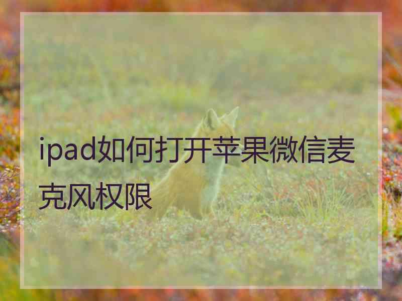 ipad如何打开苹果微信麦克风权限