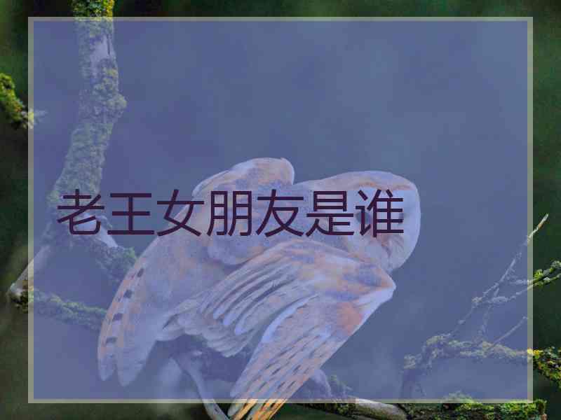老王女朋友是谁
