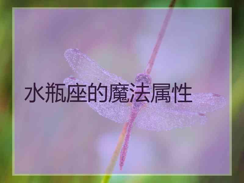 水瓶座的魔法属性