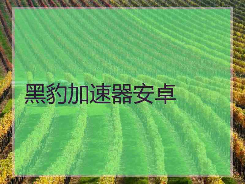 黑豹加速器安卓