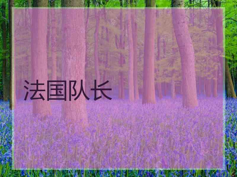法国队长