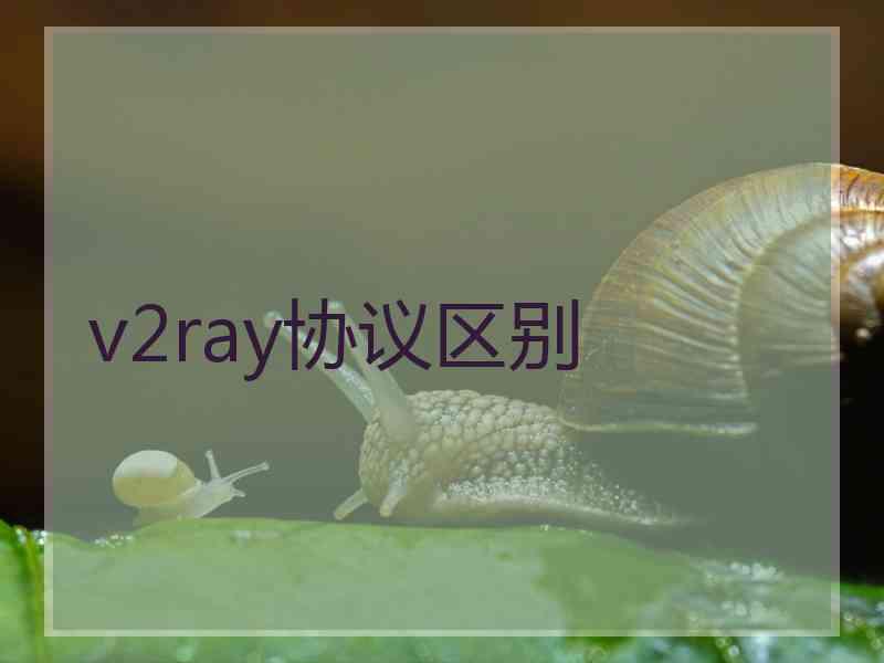v2ray协议区别