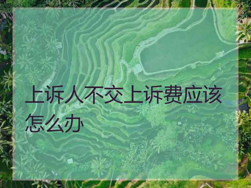 上诉人不交上诉费应该怎么办