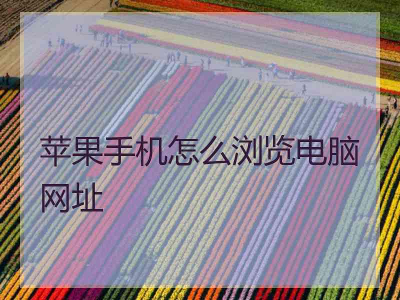 苹果手机怎么浏览电脑网址