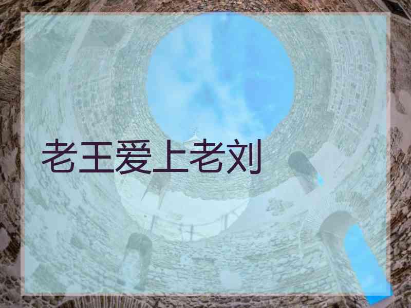 老王爱上老刘