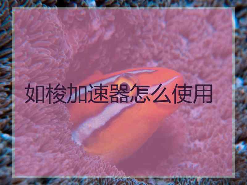 如梭加速器怎么使用