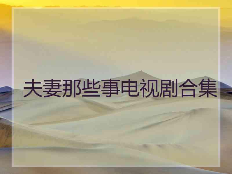 夫妻那些事电视剧合集