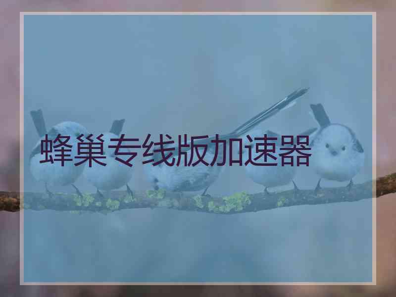 蜂巢专线版加速器