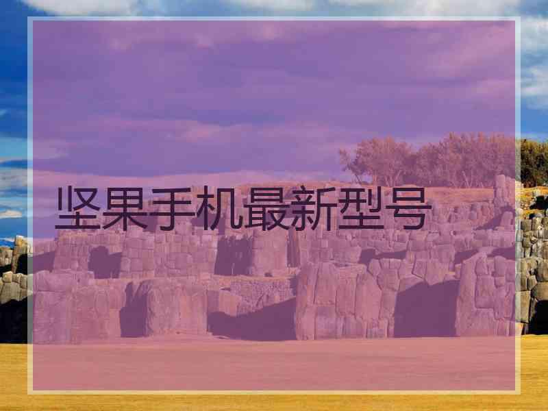 坚果手机最新型号