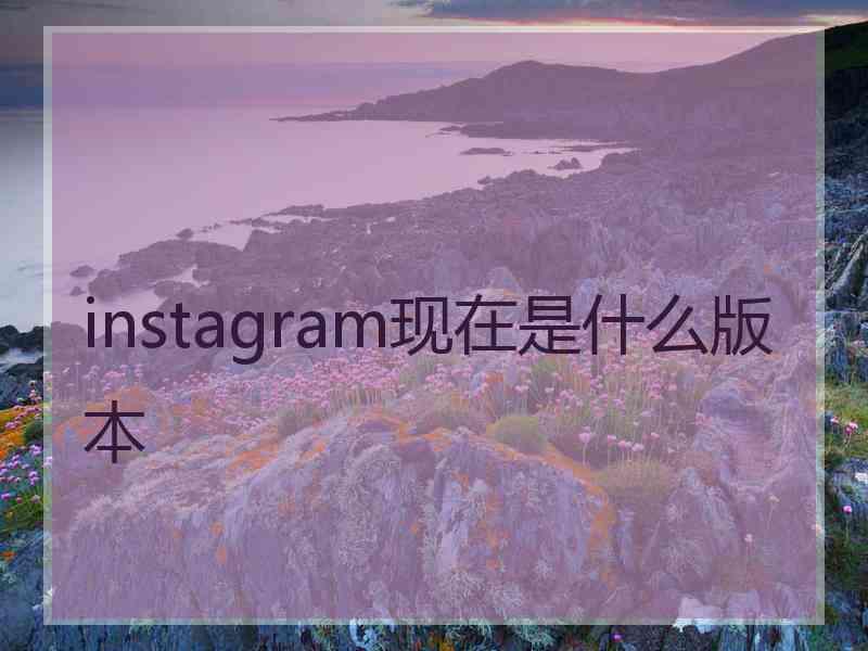 instagram现在是什么版本