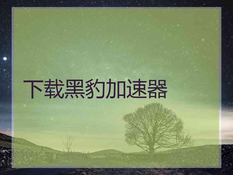 下载黑豹加速器