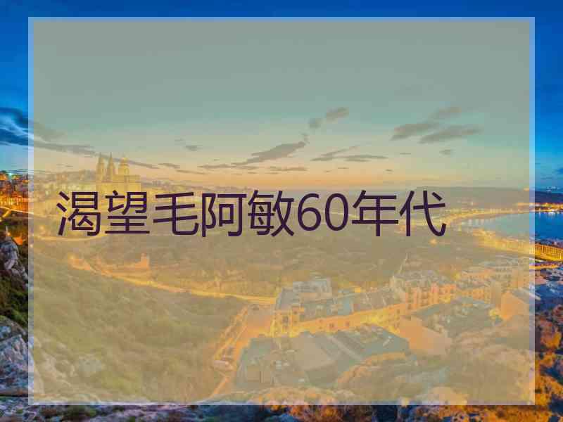 渴望毛阿敏60年代