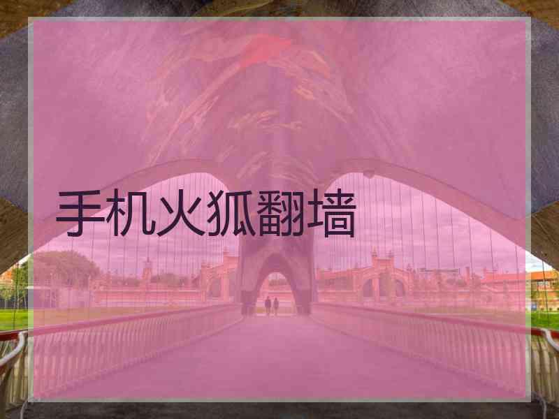 手机火狐翻墙