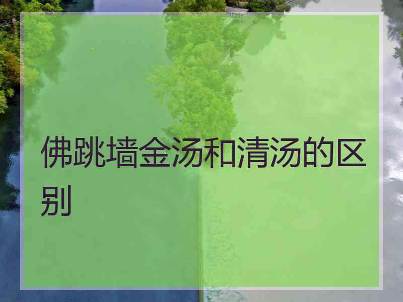 佛跳墙金汤和清汤的区别