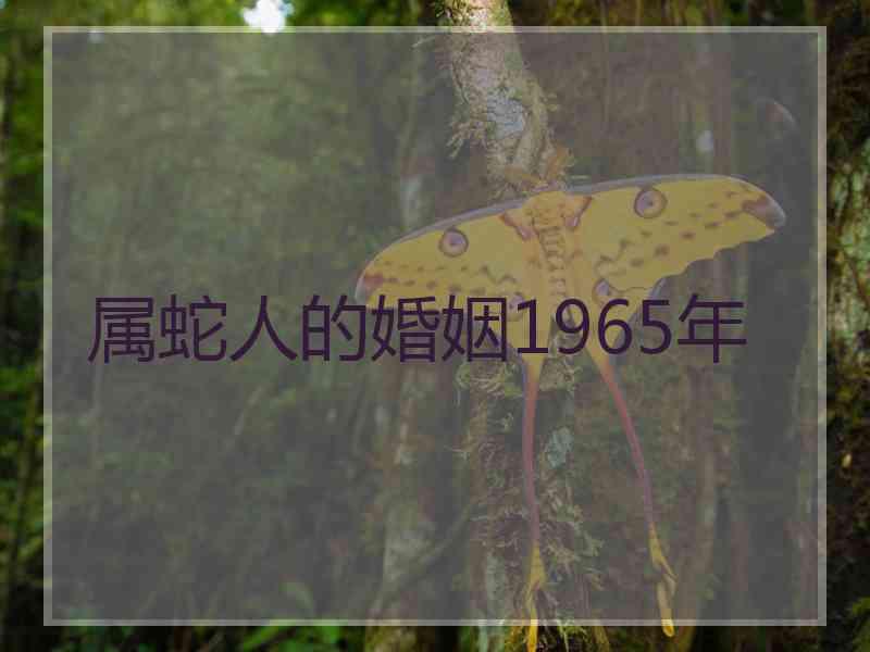 属蛇人的婚姻1965年