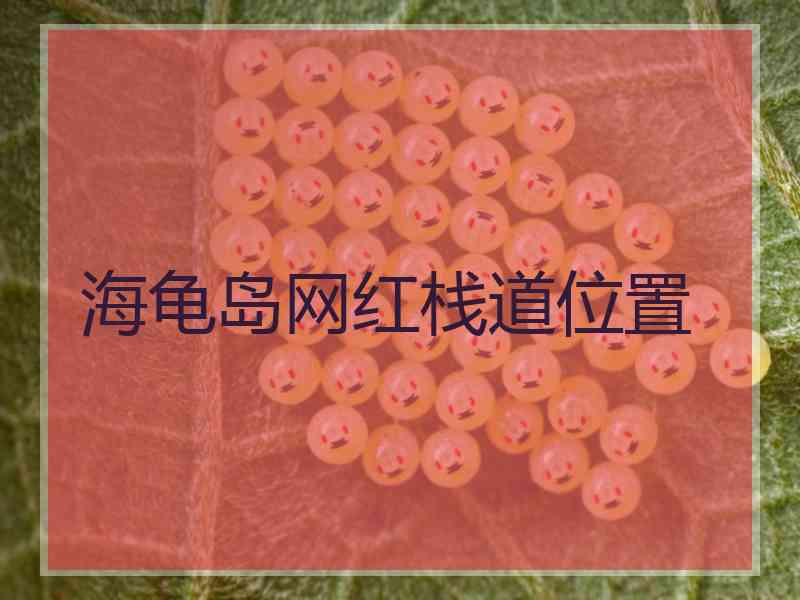 海龟岛网红栈道位置
