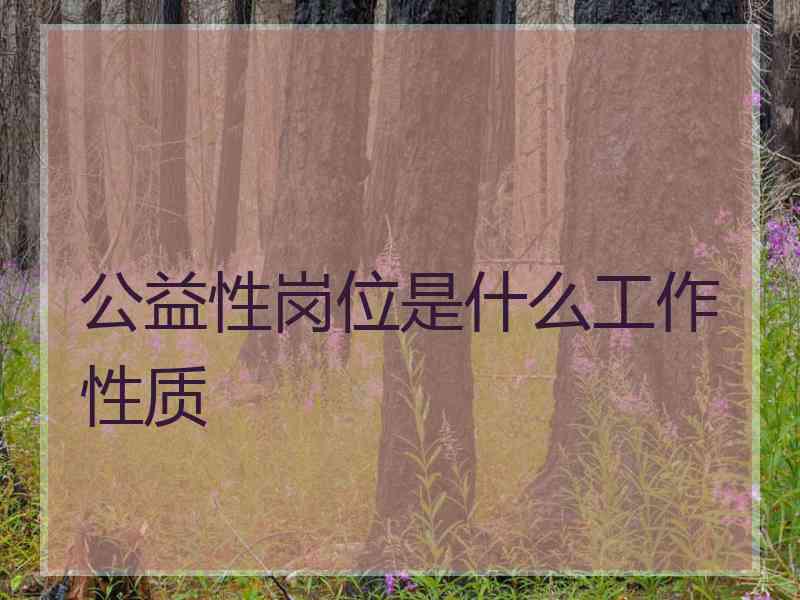 公益性岗位是什么工作性质