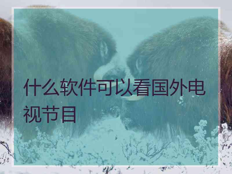 什么软件可以看国外电视节目
