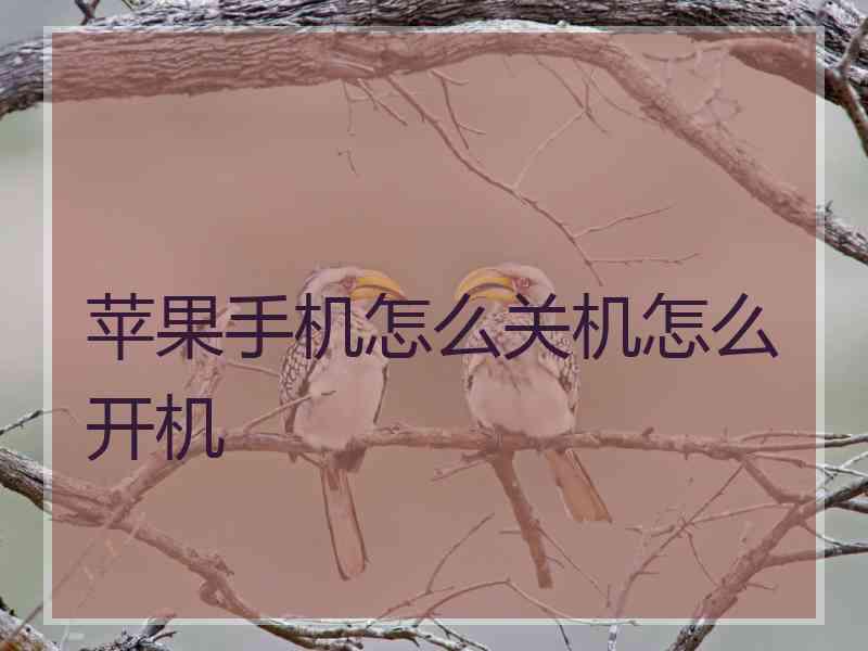 苹果手机怎么关机怎么开机