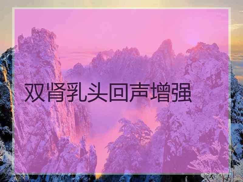 双肾乳头回声增强