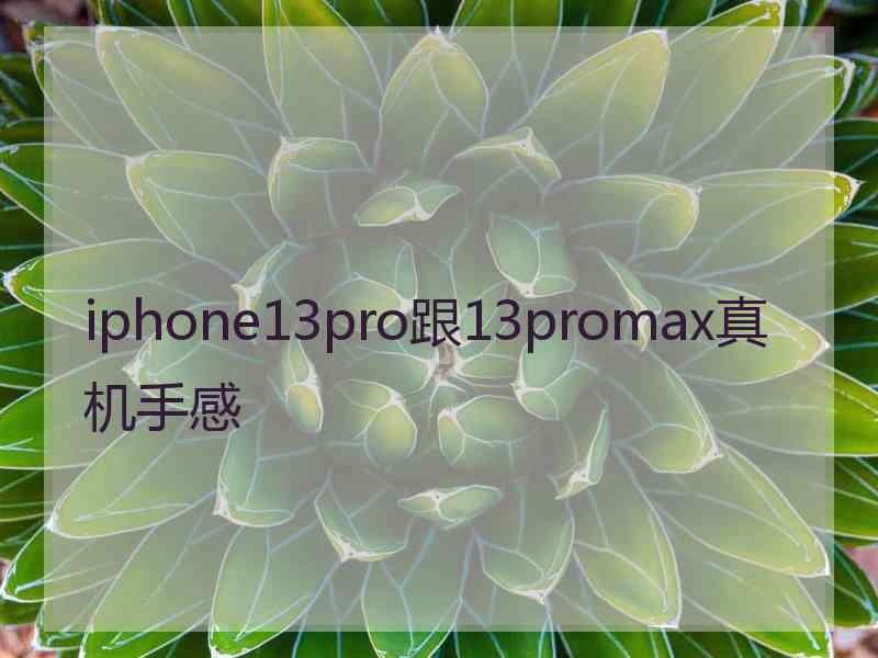 iphone13pro跟13promax真机手感