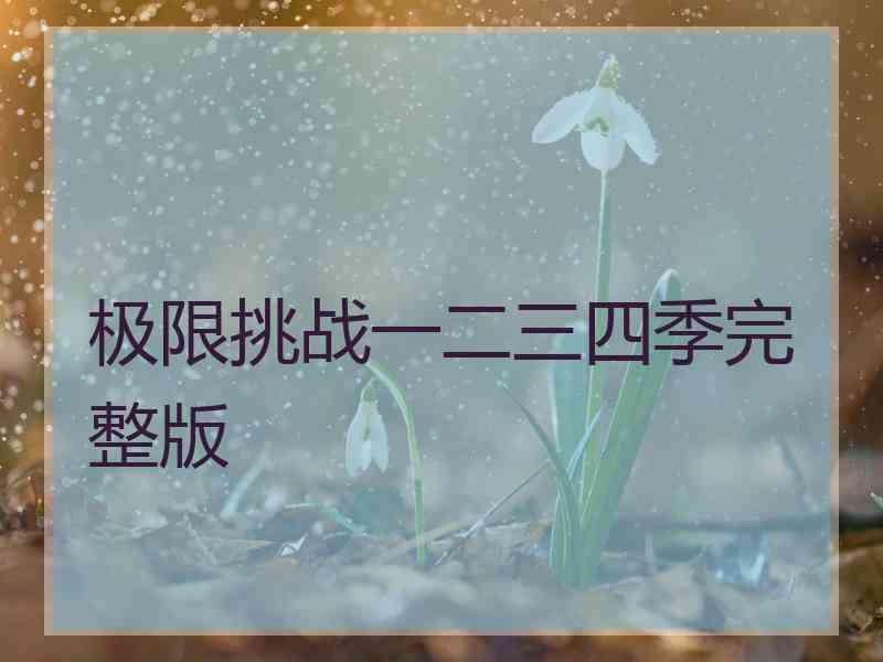 极限挑战一二三四季完整版