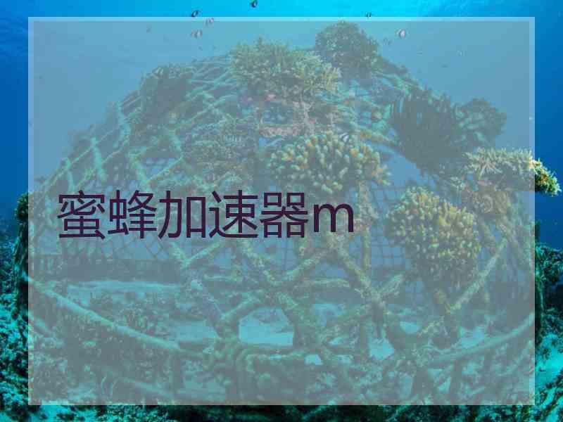 蜜蜂加速器m
