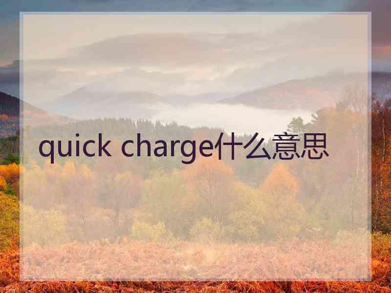 quick charge什么意思