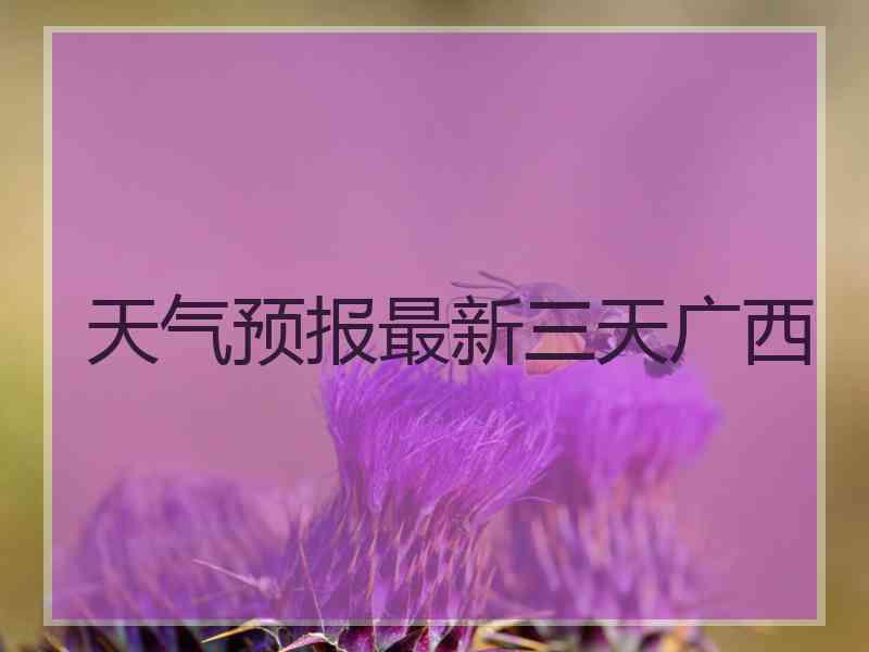 天气预报最新三天广西