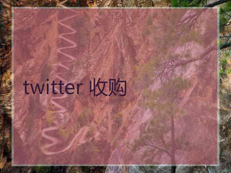 twitter 收购