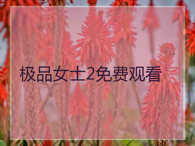 极品女士2免费观看