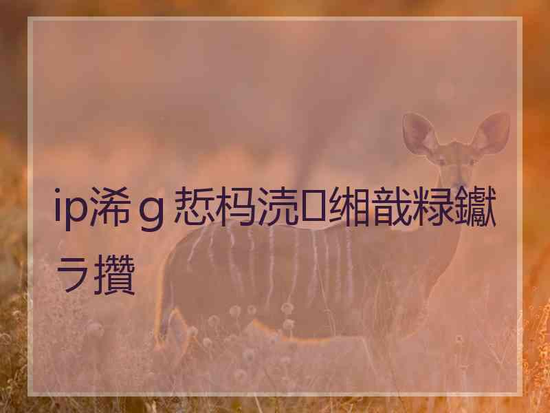 ip浠ｇ悊杩涜缃戠粶钀ラ攢