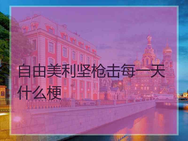 自由美利坚枪击每一天什么梗