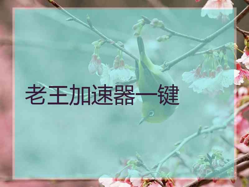 老王加速器一键
