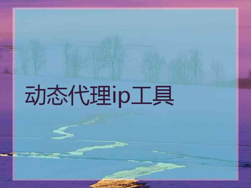动态代理ip工具
